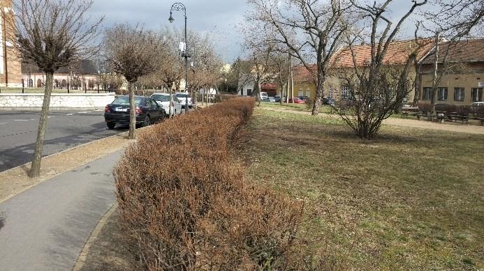 A Szent Erzsébet téren a fentiek szerint a templom parkjának szervizútján haladhat a kerékpáros forgalom.