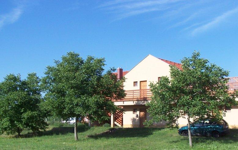 Azt mindenki szereti, a szomszéd még a kocsijával is a mi diófánk alá fog állni.