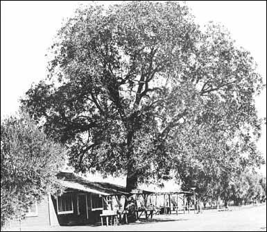 1921-ből, és egy