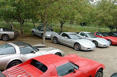hűsöl. Autóparkoló a dióligetben, Franciaországban, Périgordban.
