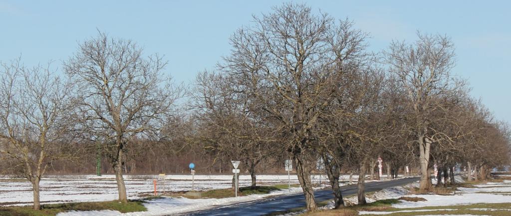 Ha már az autótulajdonosok nem teszik jóvá azt a kárt, amit járműveikkel a levegőnkben okoznak, az államnak, nevezetesen az útügyi hatóságnak lehetne rá gondja.