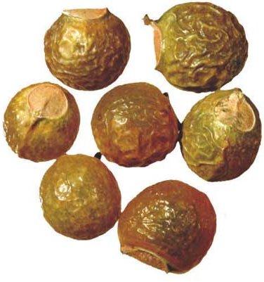 diónkkal nehezen