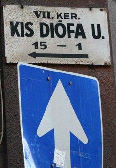 Ez megy is egy darabig. Amikor a csemete kilombosodott, már nincs szívük kidobni.
