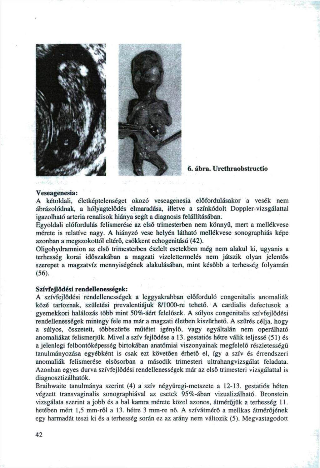 6. ábra.