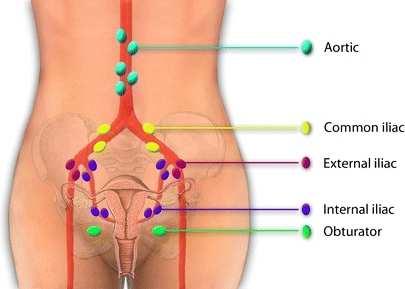 Cervix és vagina felső