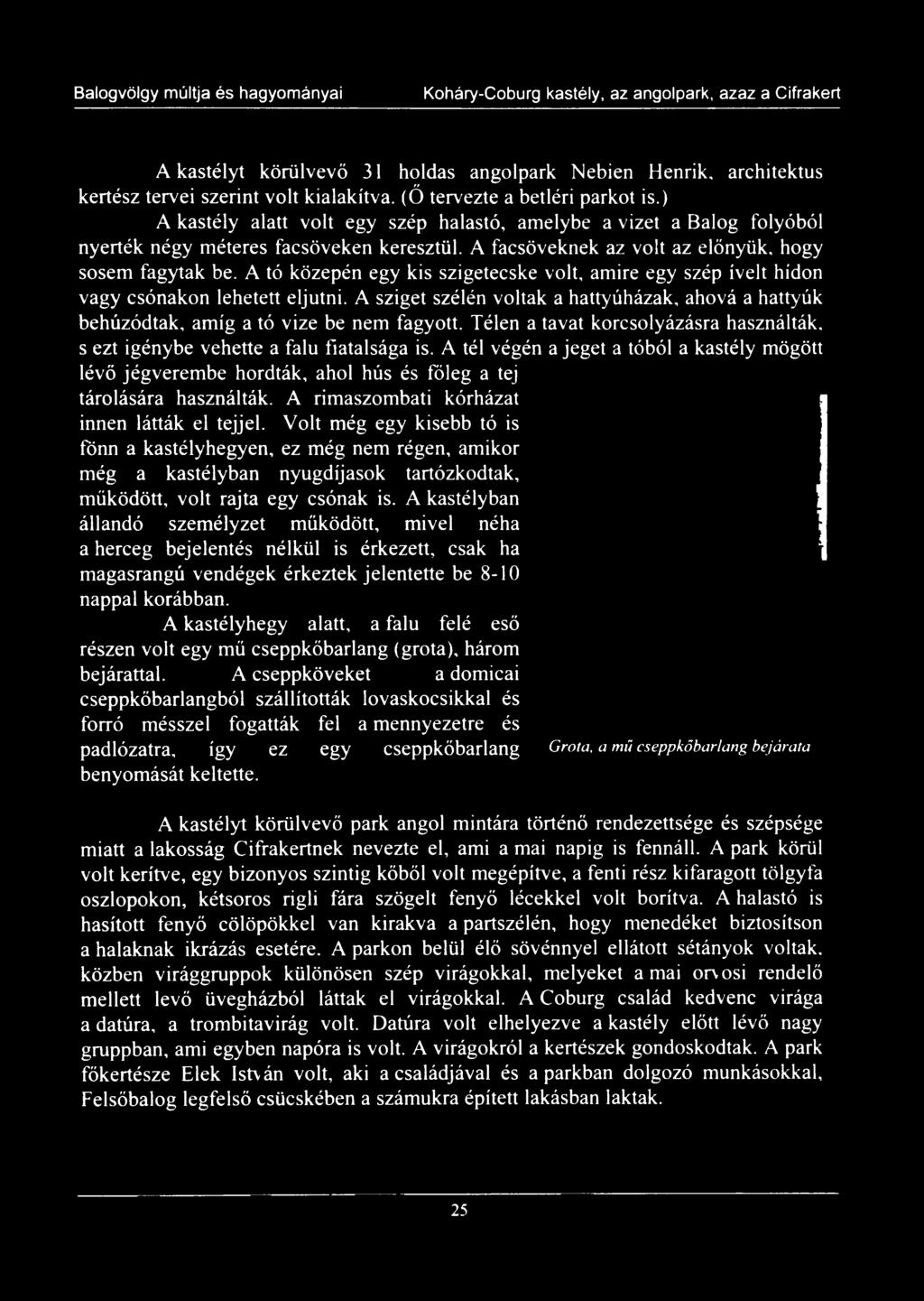 A tó közepén egy kis szigetecske volt, amire egy szép ívelt hídon vagy csónakon lehetett eljutni. A sziget szélén voltak a hattyúházak, ahová a hattyúk behúzódtak, amíg a tó vize be nem fagyott.