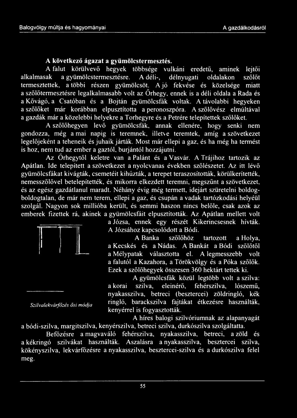 A jó fekvése és közelsége miatt a szőlőtermesztésre legalkalmasabb volt az Őrhegy, ennek is a déli oldala a Rada és a Kővágó, a Csatóban és a Bojtán gyümölcsfák voltak.