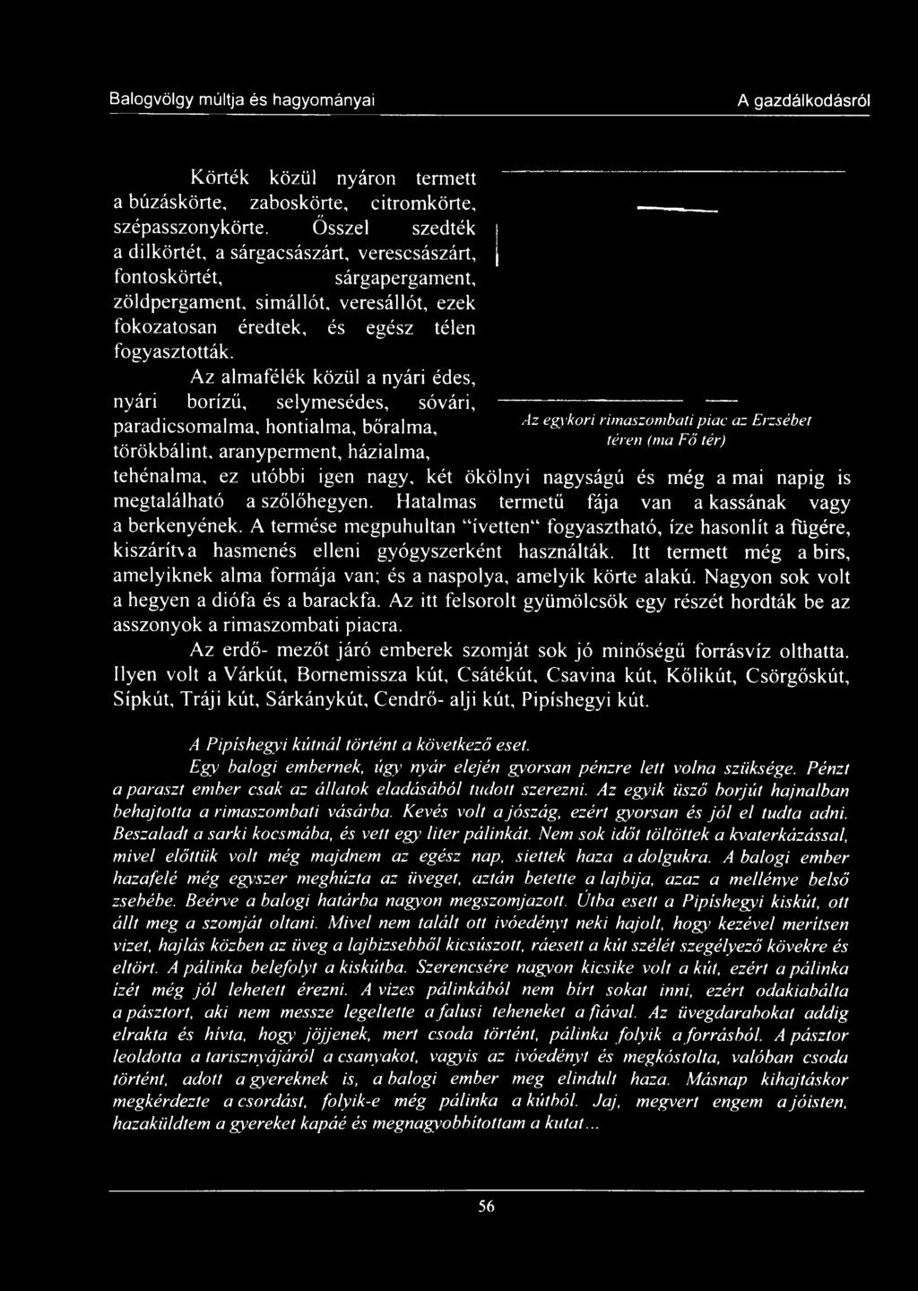 Az almafélék közül a nyári édes, nyári borízű, selymesédes, sóvári, paradicsomalma, hontialma, bőralma, törökbálint, aranyperment, házialma, Az egykori rim aszom bati p iac az E rzsébet téren (ma Fő