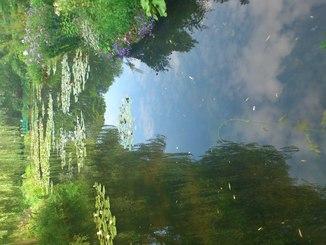 Tükör: Claude Monet kertje