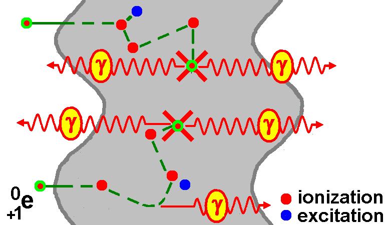Interactions of positrons Annihilation photons Module