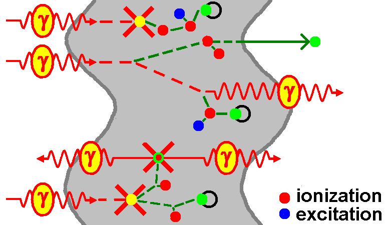 Interactions of photons párkeltés Module L-ER-3.
