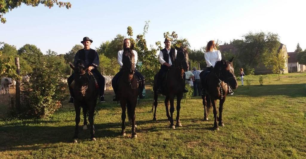 A színpadon a Fordulj Kispej Lovam társulat egy részével, fiatal gencsapáti táncos barátainkkal, a Zagyva Bandával és a Fajkusz bandával mutatkoztunk be két alkalommal is.