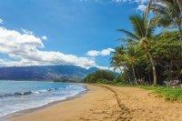 Érkezés után, West Maui hegyek mentén utazunk a hotelig, ahol két éjszakát töltünk el. Este szabad program. 10.