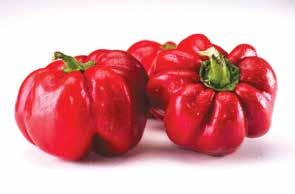 PAPRIKA 5 db/csomag, 40 Ft/db, származási hely: