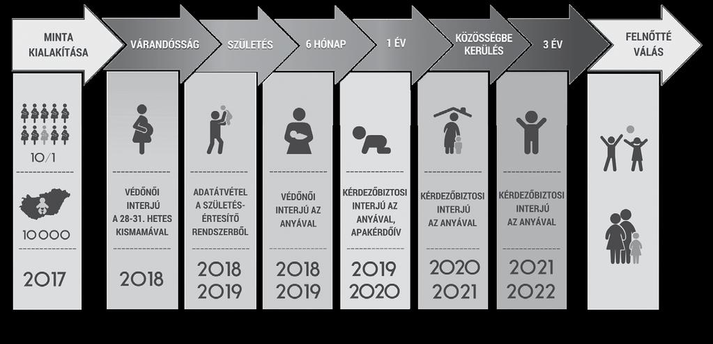 VEROSZTA ZSUZSANNA 1.2. A KUTATÁS MENETE A jelenlegi keretek között 2022-ig tervezhető a kutatás. Az ehhez kapcsolódó kutatási lépéseket az alábbi grafika összegzi. 1.1. ábra: A Kohorsz 18 kutatás ütemezése 1.
