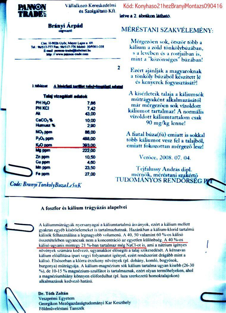 20/10. oldal Kód: StefanovitsHazaarulasi100323 39/50.
