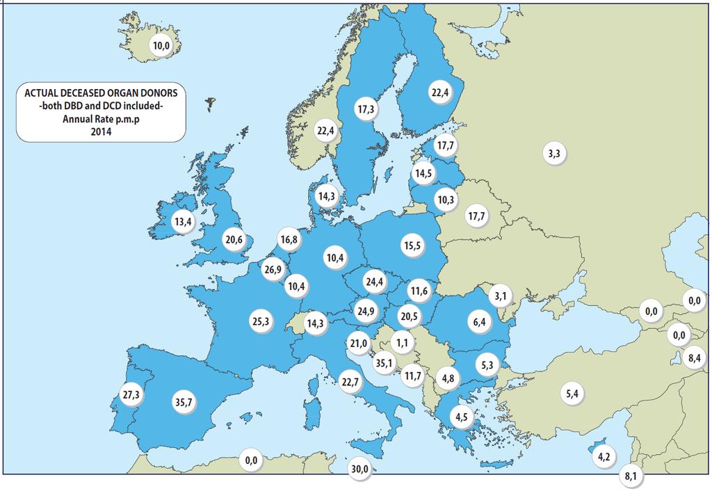 Actual Deceased Donors pmp-