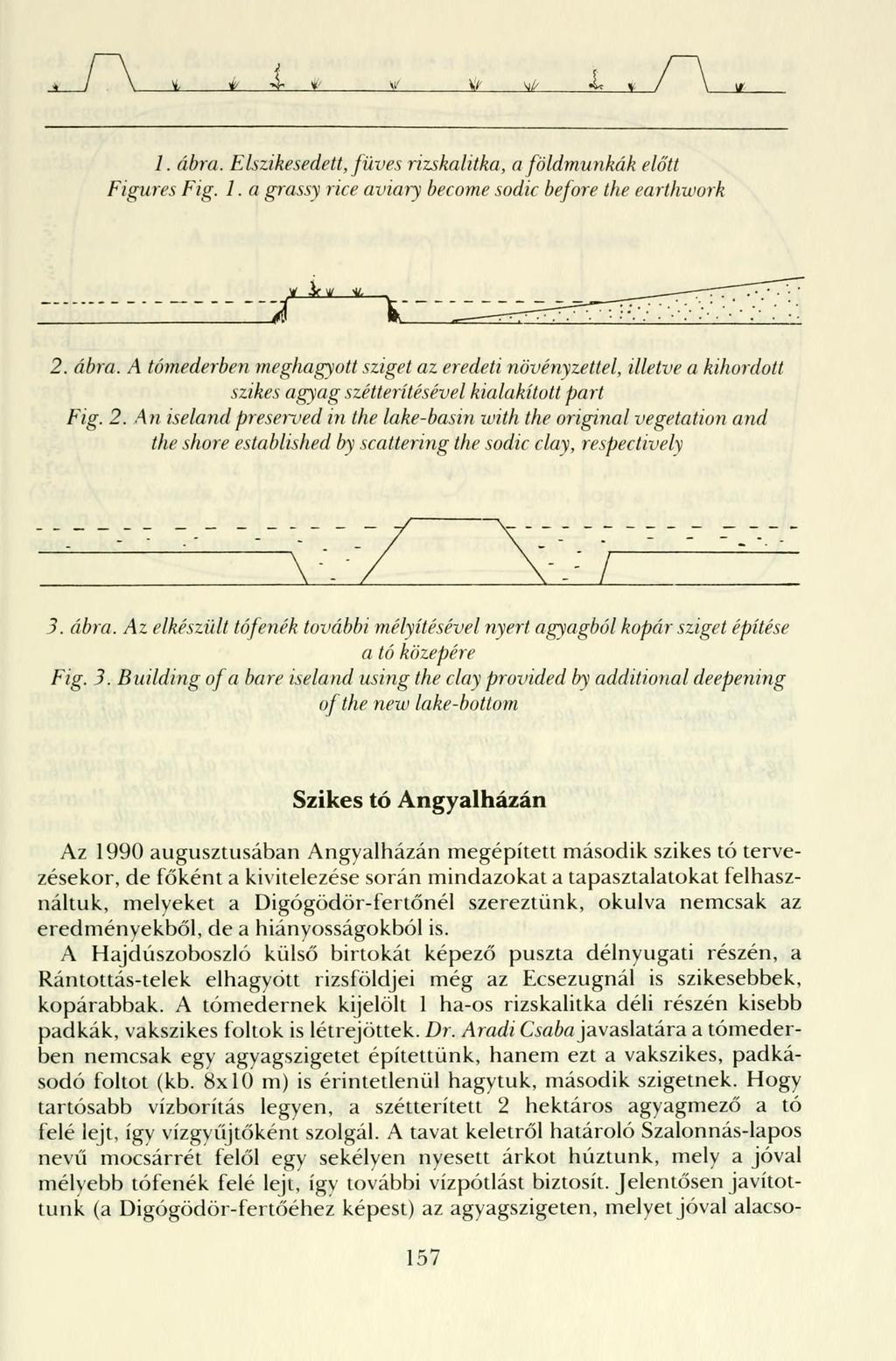 1. ábra. Elszikesedett, füves rizskalitka, a földmunkák előtt Figures Fig. 1. a grassy rice aviary become sodic before the earthwork * 3rw IL " 11 í j ^ ^ T ^ 2. ábra. A főmederben meghagyott sziget az eredeti növényzettel, illetve a kihordott szikes agyag szétterítésével kialakított part Fig.