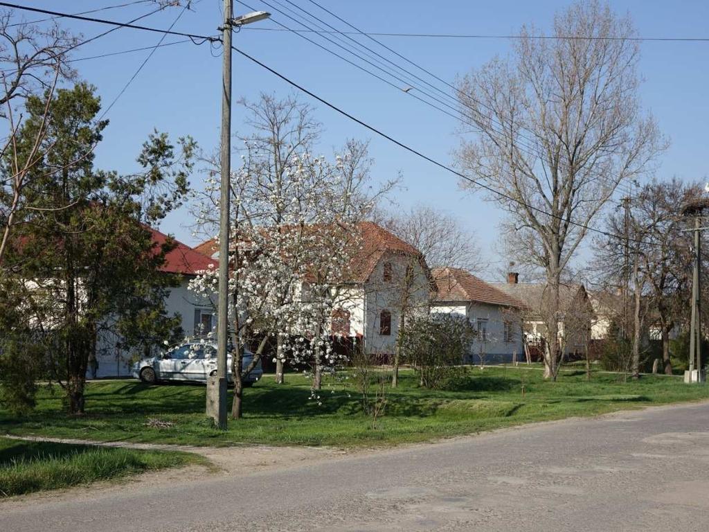 66 Az ajánlások nem tekinthetők kötelezőnek, azonban figyelembevételükkel elkerülhetjük, hogy a település karaktere megváltozzon, elősegítjük, hogy a kialakult jellegét megőrizze és erősítse azt.