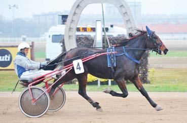 Ferenc II.