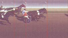2 24.0 0 7. Wonderchild 1800 Kolozsi Sándor 2:31.4 24.1 5.8 8. Winner Boy 1800 Kele Judit 2:32.1 24.5 0 9. Vezuvián 1800 Tolnay Zoltán 2:32.1 24.5 0 10táv. Vajk 1800 Juhász Balázs 2:45.0 31.7 8.