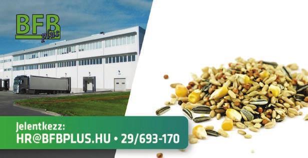 Tel.: 06-30/202-6736 Rövid határidő, igényes kivitelezés. Megújult a karrieroldalunk!