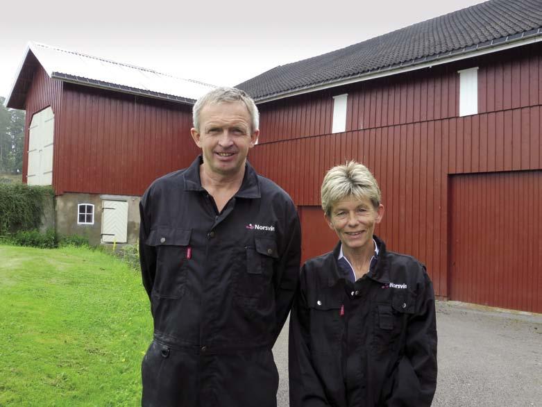Bodil és Torgeir Davidsen, Bjerke Gard, Norvégia A legjobb Duroc tenyésztő A Norsvin Duroc tenyésztői, Torgeir és Bodil Davidsen, a norvégiai Revetalból, valóban szenvedélyesen szeretik a sertéseket