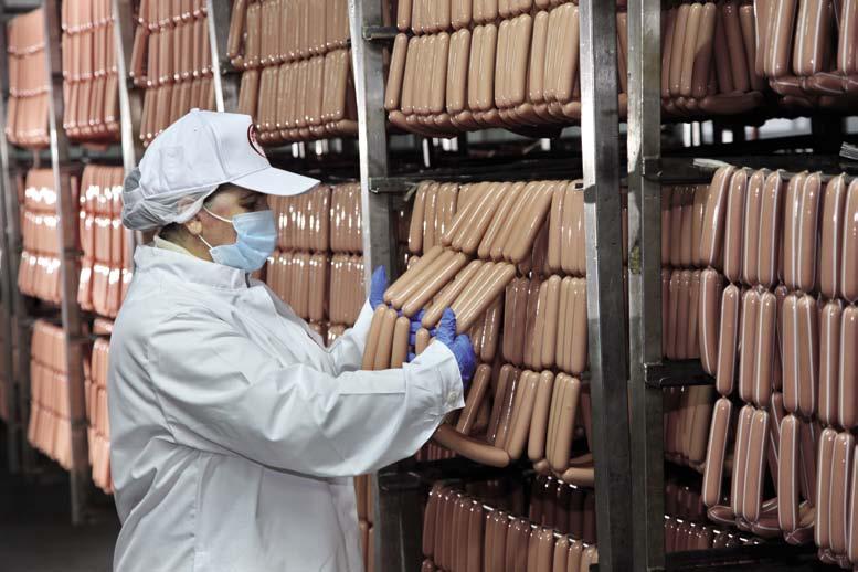 Egészséges sertések A Cserkizovo hisz a betegségektől való mentesítésben. A vállalat nagyüzemi tenyésztési projektet hajt végre, amely hetente 1200 kocasüldő termékenyítésével és vemhesítésével jár.