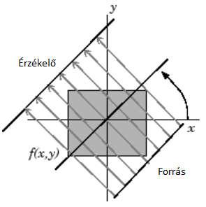 5.3.1. Tomografikus szeletek bemutatása és szegmentálása A szinkrotronos felvételezés után az egyes mintákról nagyszámú áthatásos kép készült (45.