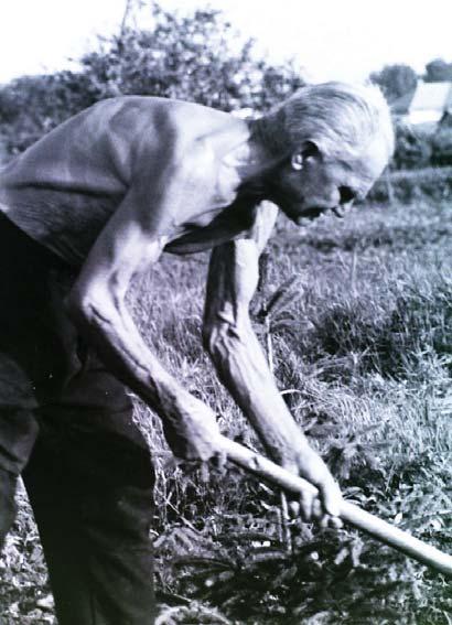 Csak a porta bejáratánál álló póznán lifegő cégtábla zománca pattogzott fel itt-ott.