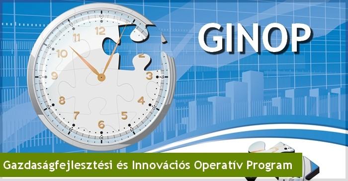 PÁLYÁZATI HÍREK Oldal 5 GAZDASÁGFEJLESZTÉSI ÉS INNOVÁCIÓS OPERATÍV PROGRAM (GINOP) Magyarország Kormánya a Partnerségi Megállapodásban, valamint a Nemzeti Infokommunikációs Stratégia (NIS) és IKT