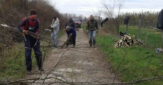 RÖVID HÍREK A FALU ÉLETÉBŐL Oldal 7 KÖZFOGLALKOZTATÁS NAGYPÁLIBAN A közfoglalkoztatás, más néven közmunkaprogram, vagy köznapi nevén közmunka speciális, (szociális támogatás jellegű) munkaviszony,