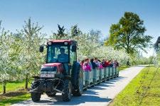 neve köré. A 27. jubileumát ünneplő Bold Agro Kft.