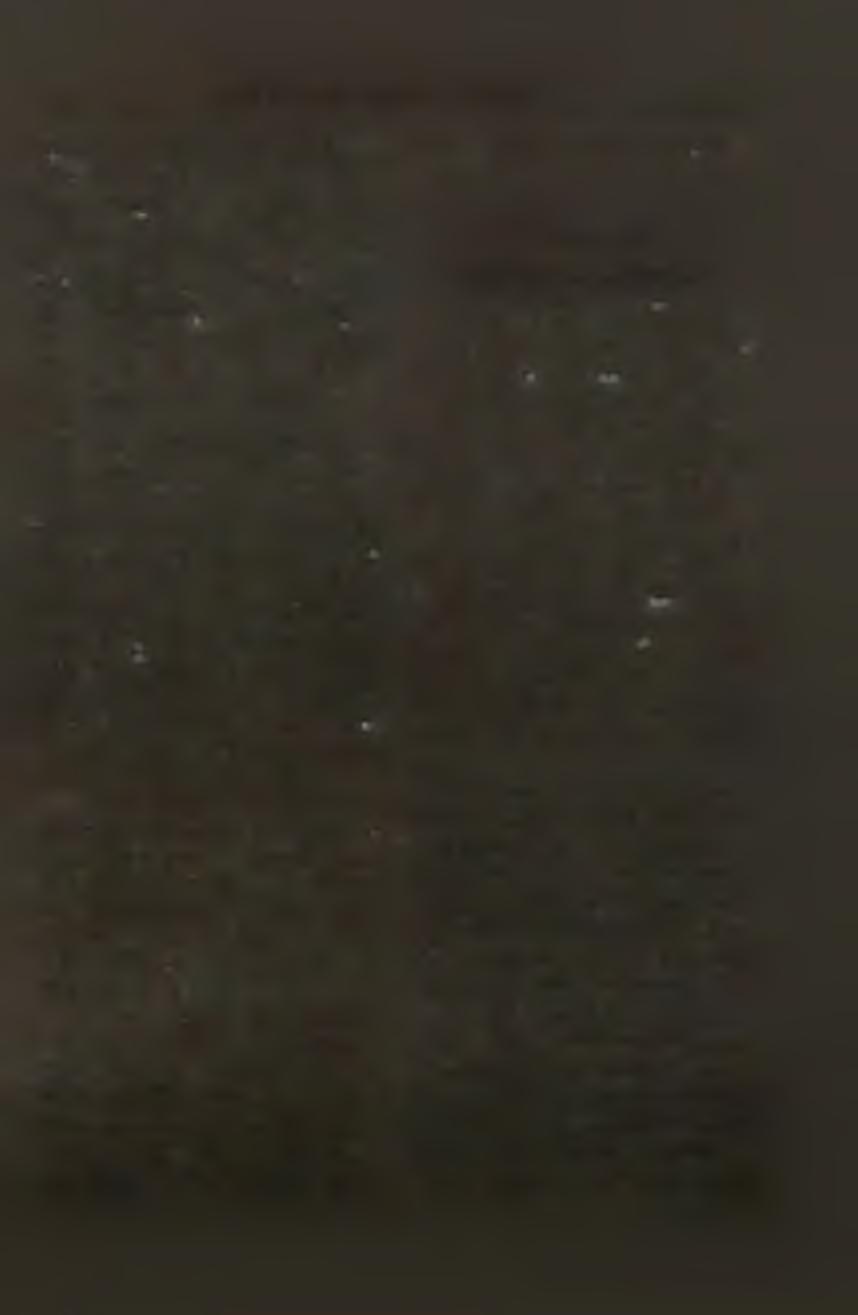T A P A S Z T A L A T C S E R E megsértése, a tiltott szerencsejáték, tiltott tárgy tartása, cseréje, a társadalmi tulajdon rongálása, a kapcsolattartás szabályainak megszegése, fajtalankodás, arra