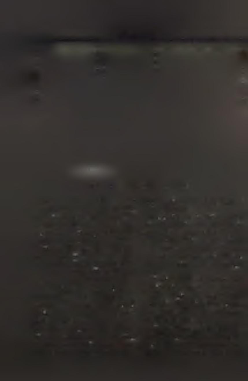 M Ű H E LY Külön gond a szakképzetlen munkaerő is egyre kérdésesebbé válik, a velük szemben támasztott nyereségességi igényről nem lehet lemondani.