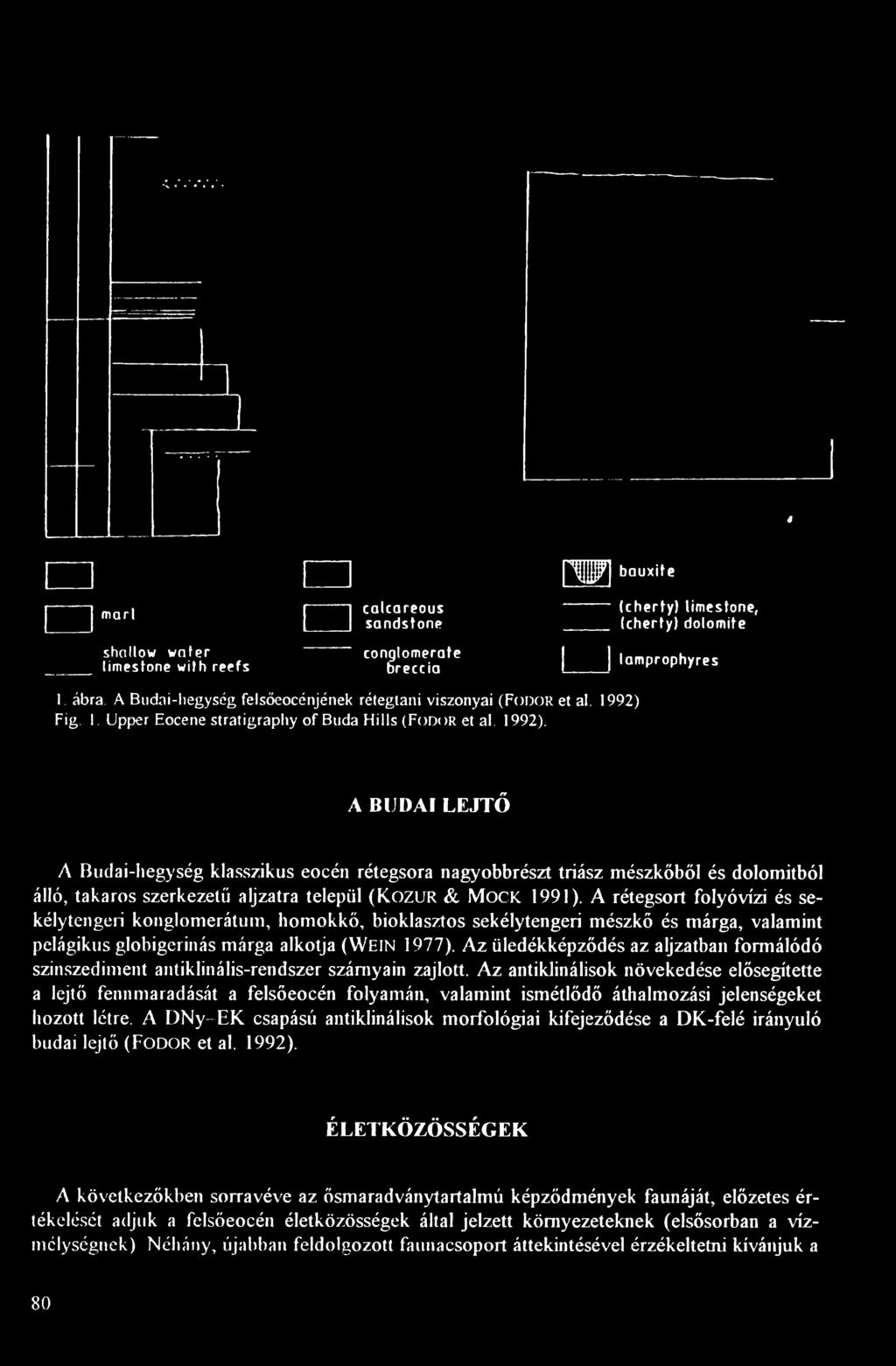 Fig. 1. Upper Eocéné stratigraphy o f Buda Hills (Fodor et al. 1992).