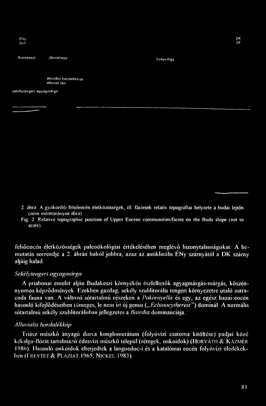 felsőeocén életközösségek paleoökológiai értékelésében meglévő bizonytalanságokat. A bemutatás sorrendje a 2. ábrán balról jobbra, azaz az antiklinális ÉNy szárnyától a DK szárny aljáig halad.