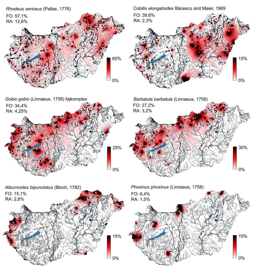 Takács P. és társai: Halállományok fajgazdagsága és a védett halfajok elterjedés-mintázata magyarországi vízfolyásokban 89 2. ábra.
