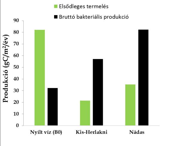 Tugyi N. és társai: Fitoplankton és bakterioplankton produkció a Fertő nyílt vízében és nádasában 95 történő előzetes átszűrése miatt jelentősen alulbecsülték a fitoplankton elsődleges termelését. 4.