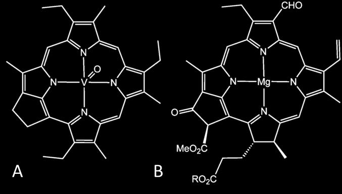 3. Irodalmi áttekintés 3.1.