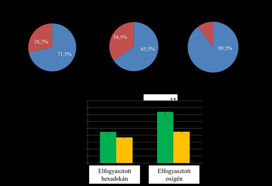 14. ábra: A R. erythropolis PR4 oxigén egyensúly (A) a monooxigenáz reakcióban felhasznált oxigén aránya (kék), egyéb reakciókban felhasznált oxigént aránya (piros). A R. erythropolis PR4 által 5 nap alatt elfogyasztott hexadekán és oxigén mennyisége (B) minimál tápoldatban nevelt R.