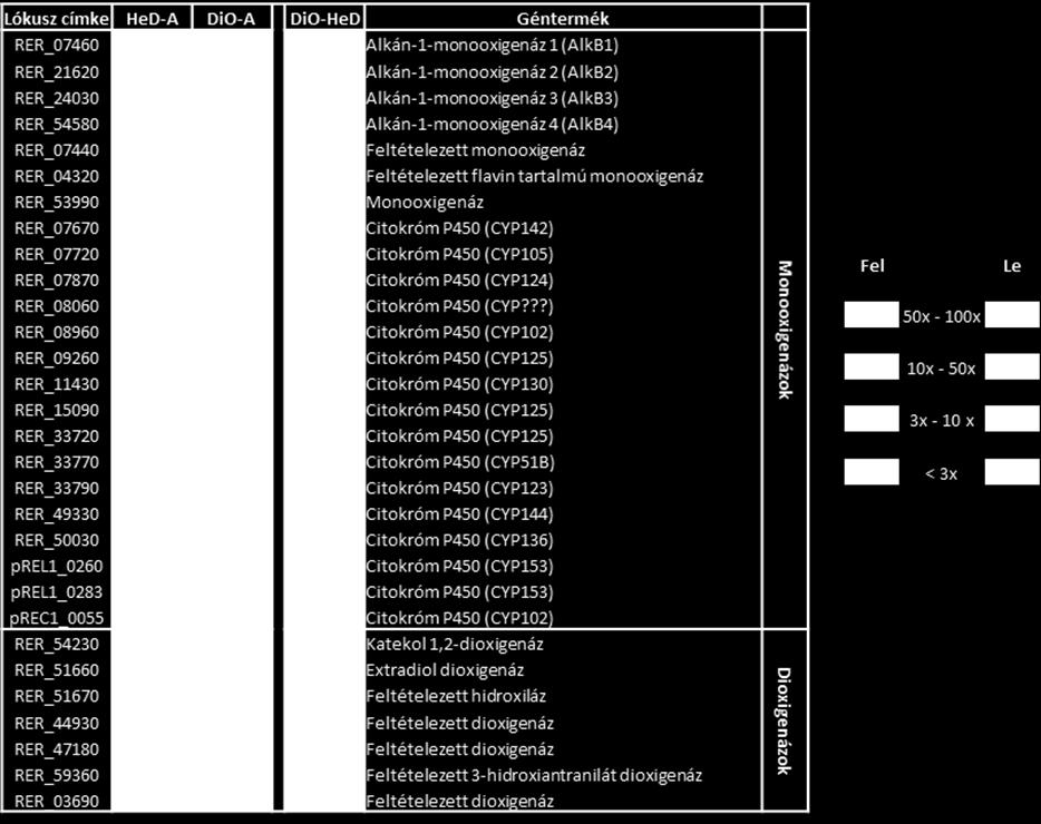 Az ábrán láthatóak a színkódok az indukciót ( fel ), a repressziót ( le ) jelzik. A két másik nyitott leolvasási keret a RER_07510 és a RER_07520 expressziós szintje is magas a kontrollhoz képest.