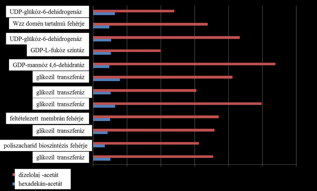 mérgező anyagot exportáló fehérje (multidrug and toxic compound extrusion, MATE). A MATE fehérjék elektrokémiai grádiens ellenében juttatnak ki molekulákat a sejtből [158].