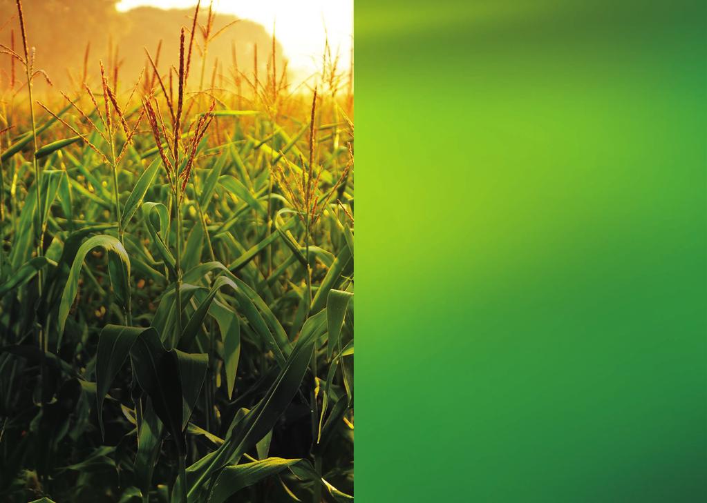 12 13 MAGYARORSZÁG KIÁLL A GMO-MENTES MEZŐGAZDASÁGÉRT A kormányzat kiemelten fontos stratégiai kérdésként kezeli a magyar mezőgazdaság GMO-mentes státuszának megőrzését.