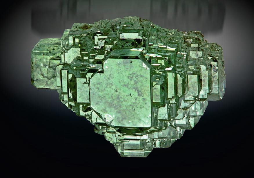 XXXVI.
