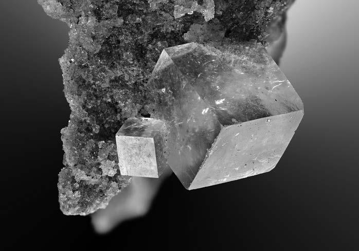 XXXVI.