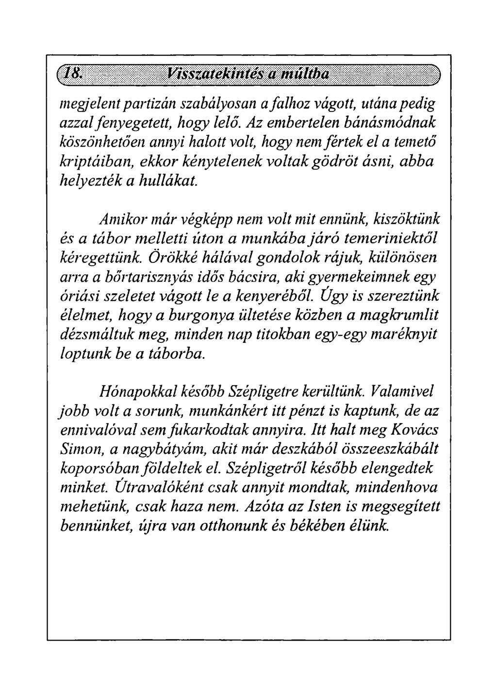 megjelent partizán szabályosan a falhoz vágott, utána pedig azzal fenyegetett, hogy lelő.