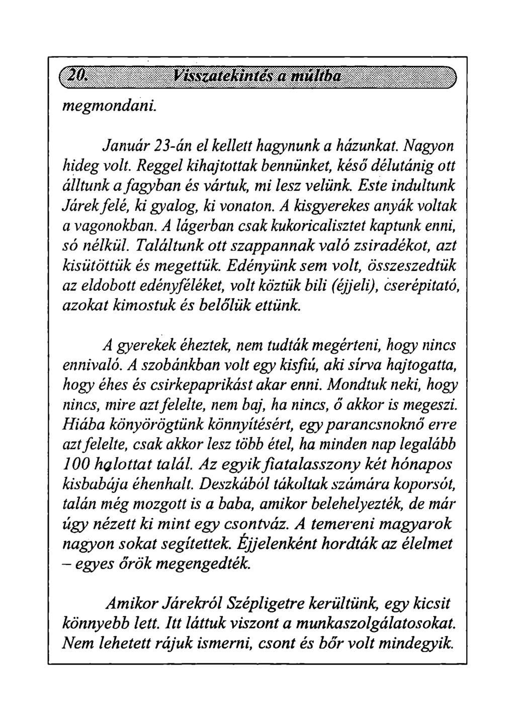 megmondani. Január 23-án el kellett hagynunk a házunkat. Nagyon hideg volt. Reggel kihajtottak bennünket, késő délutánig ott álltunk a fagyban és vártuk, mi lesz velünk.