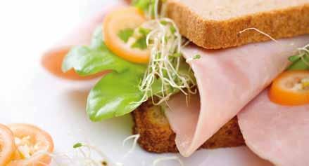 BAROMFI RÚD ARO NYÁRI TURISTA 500 g/db 10 db