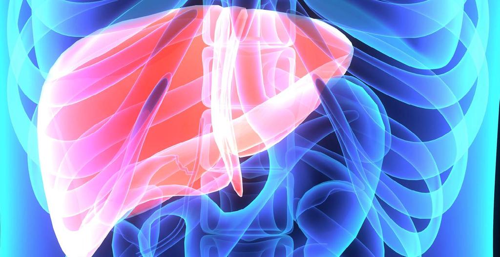 Hepatológiai betegségekkel foglalkozó ERH-k (ERN RARE-LIVER) A ritka májbetegségek progresszív májsérülést okozhatnak, amely fibrózist vagy cirrózist eredményezhet.